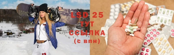 шишки Алзамай