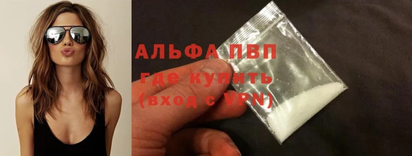 гашик Михайлов