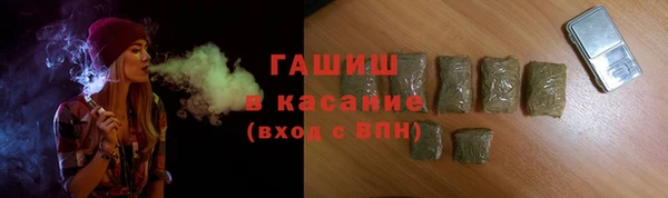 шишки Алзамай