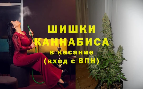 шишки Алзамай