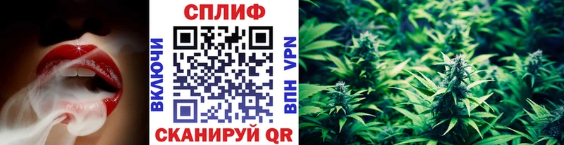 Шишки марихуана семена  omg как войти  Чебаркуль 